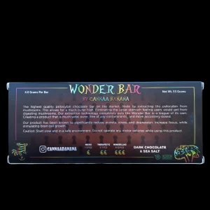 Wonder Bar – Chocolate & Sea Salt 4G