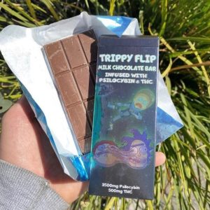 Trippy Flip Chocolate Bar ( Rick and Morty Chocolate Bar )