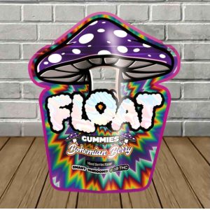 Float Mushroom Gummies | Smart Shrooms + D9 100mg