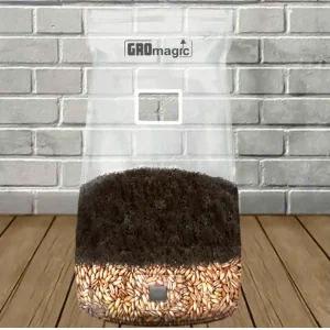 GROmagic All-In-One Mushroom Grow Bag