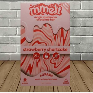Mmelt Magic Mushroom Chocolate Bar 6g