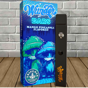 Wunder Bars Mushroom Disposable 2.2g